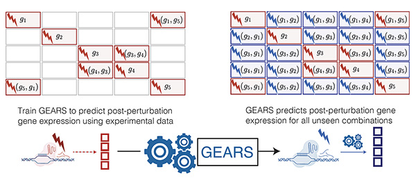 GEARS