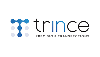 Trince