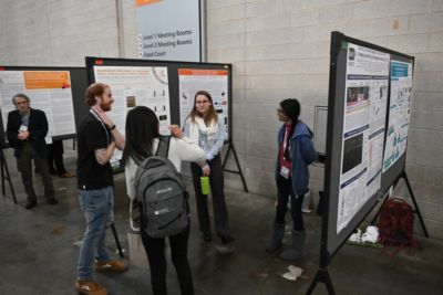 Poster display