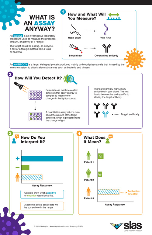 Infographic: What is an Assay Anyway?