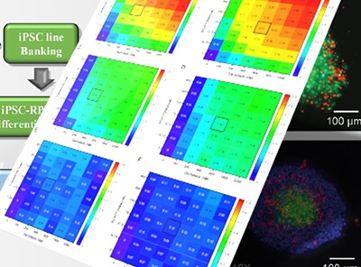 A New Dimension in 3D Cell Culture: Exploring the Technology and Techniques