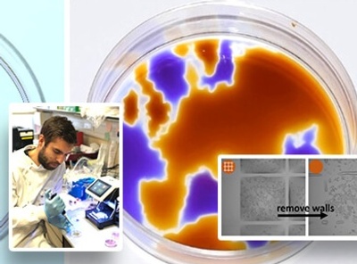 Fluid-Shaping Technology Offers Microfluidic Methods in a Petri Dish